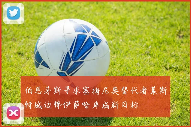 伯恩茅斯寻求塞梅尼奥替代者莱斯特城边锋伊萨哈库成新目标